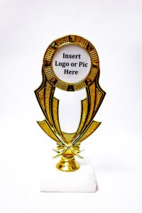 Corporate award by The Achiever's Sports & Trophies Ltd., Ocho Rios, Jamaica