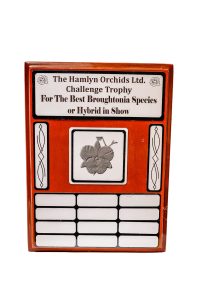 Plaque by The Achiever's Sports & Trophies Ltd., Ocho Rios, Jamaica