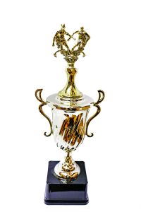 Trophy by The Achiever's Sports & Trophies Ltd., Ocho Rios, Jamaica
