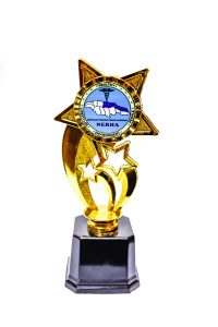 Trophy by The Achiever's Sports & Trophies Ltd., Ocho Rios, Jamaica